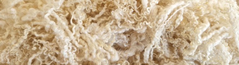 Curly washed cream Bluefaced Leicester fleece